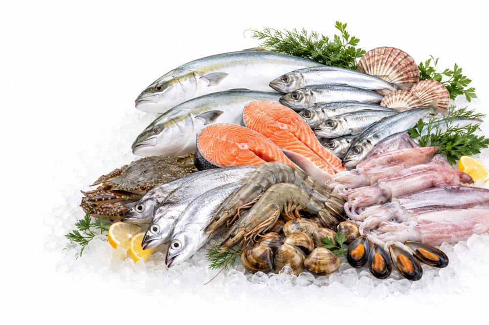 Premium fresh seafood platter on ice